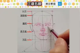 画人物素描头像时，如何准确的画对“三庭五眼”的位置？