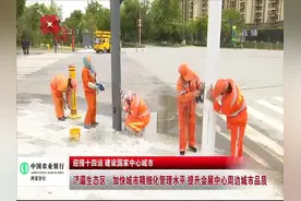 浐灞生态区：加快城市精细化管理水平 提升会展中心周边城市品质视频封面