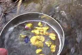 无人区河道探宝，这个小河里面找到大块的天然黄金狗头金