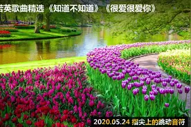 29首刘若英歌曲精选 《知道不知道》《很爱很爱你》视频封面