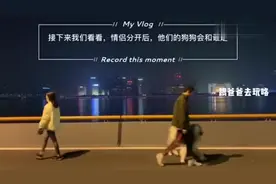 两个情侣分开之后，他们的狗狗会跟谁走？你们这是想把狗弄疯？视频封面