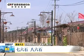 东北方言咋来的？这拉溜 这疙瘩 说的都是哪？视频封面