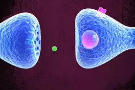 胆碱能受体激动剂与拮抗剂 | 芥末药学堂视频封面