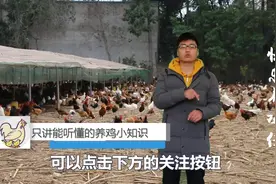 只要育雏时间选得好，来年养鸡挣钱准没跑，新手养鸡照样没问题！视频封面