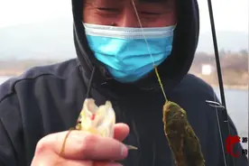 路亚马口篇，自己搭配飞蝇瓜子亮片，微物路亚线组怎么装。