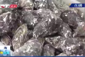 以次充好，法国某品牌生蚝“产自”浦东？外观上完全分辨不出来视频封面