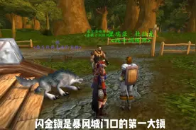 魔兽世界：艾泽拉斯向导带你了解闪金镇的故事背景和风土人情