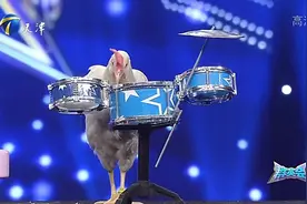 “东方神鸡”可爱来袭，不仅能认人还能认钱｜群英会