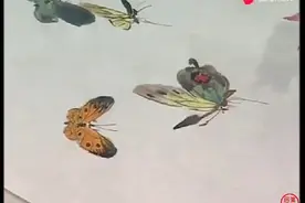 一次画这么多的蝴蝶！个个好看好学！（下）徐湛