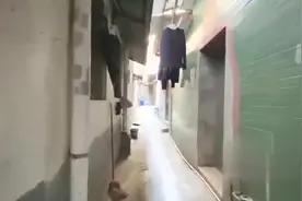 探访深圳龙岗经典的城中村，进去了分分钟就会迷路！视频封面
