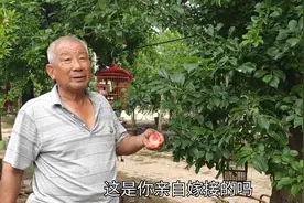 高手在民间：安徽大叔通过妙手嫁接，一棵果树结出3种不同果实视频封面