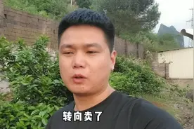 凤梨就是菠萝吗？小伙说说为什么菠萝有黑心凤梨就很少！视频封面