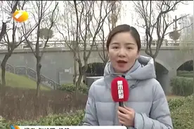 下雪了，西安终于下雪了！你想象中西安的雪是这样的吗？