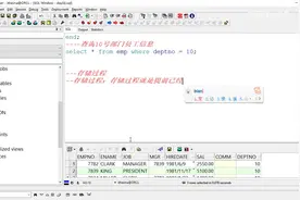 Java常用框架成品：第243讲，存储过程的使用视频封面