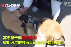 太原公交向被拒上公交的导盲犬主人致歉 主人回应炒作质疑视频封面