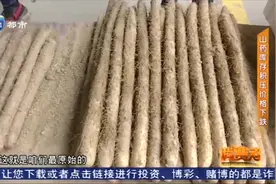 山药红心又长芽，还能吃吗？源头寻真相，专家教您辨别山药不同视频封面