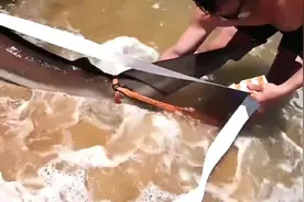 海边钓鱼，有多大力气就使多大力气，就是刚视频封面