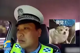 被老伴“丢”高速获救助，老大爷语出惊人，烟台交警都忍不住笑了视频封面