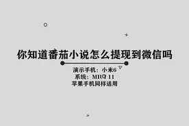 你知道番茄小说怎么提现到微信吗，简单几步，轻松完成视频封面