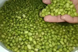 卖绿豆凉粉二十年的亲戚教我在家做绿豆淀粉，以后想吃自己做