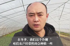 自从学会了制作“肥料”，我家种菜都不用买肥料，省钱还高产视频封面