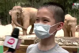 国际护士节前夕，广州全市超70家景区，免费向医护人员开放参观