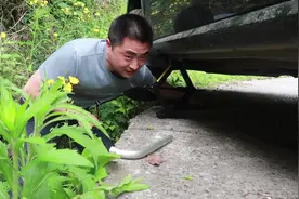 农村公路汽车轮胎掉进排水沟，小伙用这个方法轻松脱困，建议收藏