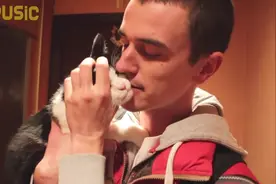 俄罗斯小伙出差21天归来，看看他家猫咪的反应视频封面