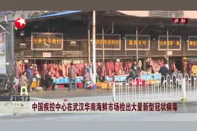 新进展！中国疾控中心在武汉华南海鲜市场检出大量新型冠状病毒视频封面