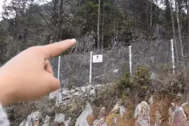 实拍云南中越边境上，中间用铁丝网隔开，这片土地至今还埋有地雷