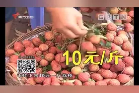 买荔枝到广州萝岗荔枝市场，现摘现卖，价格便宜口感好|城事特搜视频封面