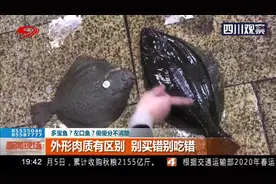 多宝鱼，左口鱼 傻傻分不清楚！多宝鱼？你确定买对了吗？视频封面