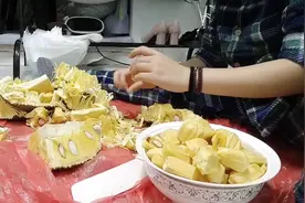 吃了这么多年的菠萝蜜，原来出肉率这么高，水果店20一斤真贵！