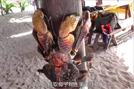 海洋里“最大”的螃蟹，体重高达72斤，这一只得吃多久啊？