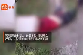 四川：黑熊咬死3人，政府补偿每位遇难者家属29万余元视频封面