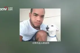 小狗被洪水冲走 主人奋不顾身一头扎进水中营救视频封面