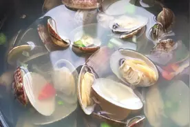 蛤蜊又叫嘎啦 用它做汤不加调料 原汁原味真是太鲜了元气美食大PK