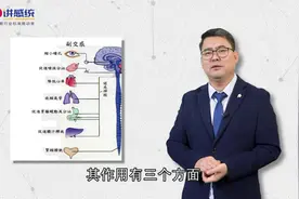 感统知识百科：交感神经和副交感神经功能相反，相互平衡制约