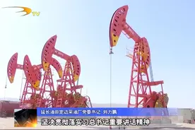 延长油田定边采油厂复工率已达94 日产原油达5330吨