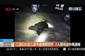 江油妇女送儿读书被黑熊咬死，2人搜寻途中再遇难，黑熊已被击毙视频封面