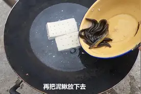 实拍泥鳅钻豆腐这道菜全过程，水温加热后，真相就出来了