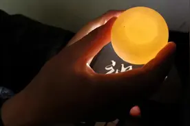 农村小伙手把手教你区分鹅蛋是否受精来增加种蛋的孵化率