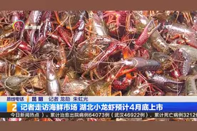 记者走访海鲜市场 湖北小龙虾预计4月底上市