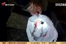家中飞进蝙蝠要淡定，用科学方法驱赶是关键，民警教你正确处理法