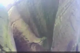 重庆市北碚区天府镇兔儿寨视频封面