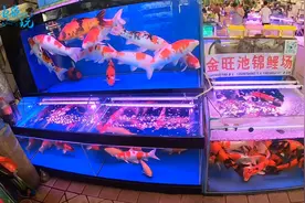 爸爸甜言蜜语哄女儿，陪着他去观赏水族大世界，男人带女儿的乐趣视频封面