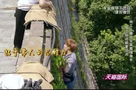 极限挑战：男人帮爬城墙，艺兴有严重腰伤，被远远落在后面！视频封面