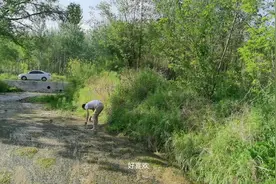 老阿姨待带着孩子去池塘边徒手捉泥鳅，回忆童年。视频封面