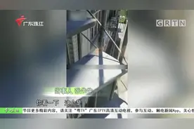 一觉醒来 楼梯居然“不翼而飞”视频封面