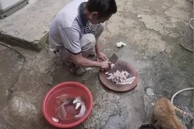 广西大山的生鱼片配着酸粥一起吃美味，横县生鱼片有这种吃法吗？